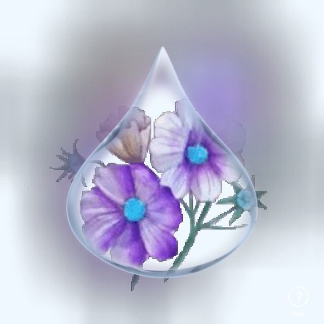 paarse bloem in grote traan